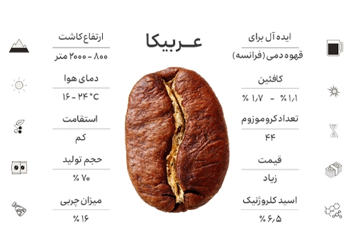 قهوه عربیکا