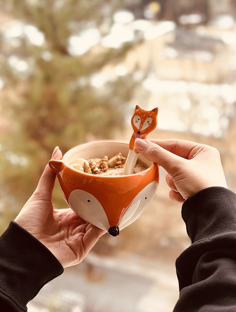 خرید ظروف فانتزی روباه
