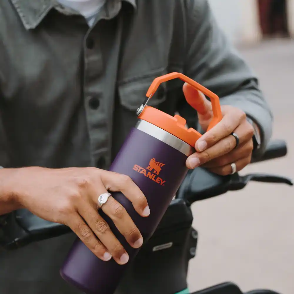 خرید تراول ماگ نی‌دار استنلی اورجینال مدل FLIP STRAW TUMBLER بنفش