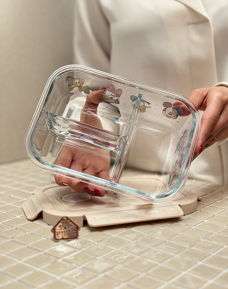 خرید ظروف درب دار دیزنی
