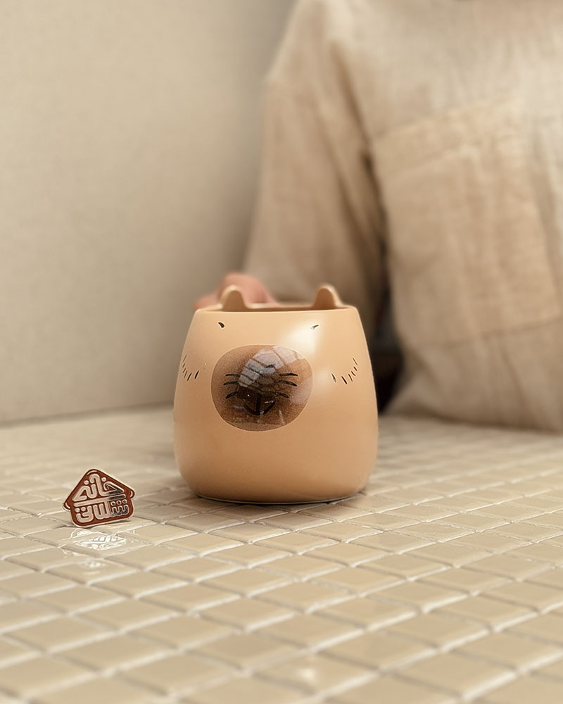 خرید ماگ فانتزی