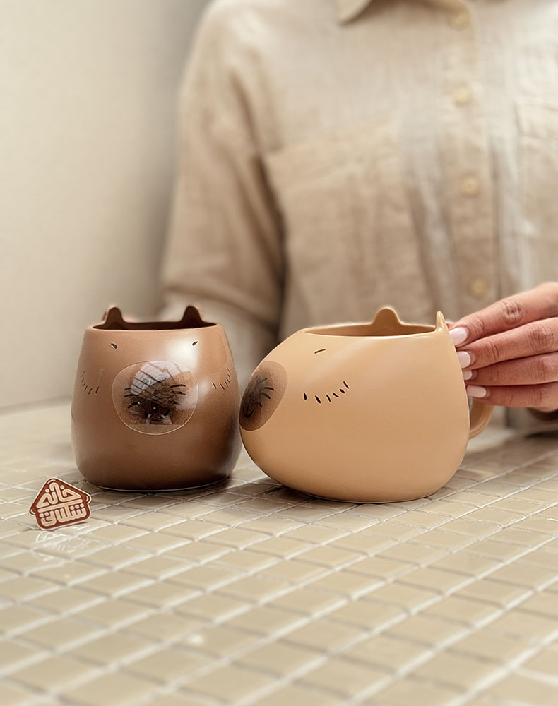 خرید ماگ فانتزی