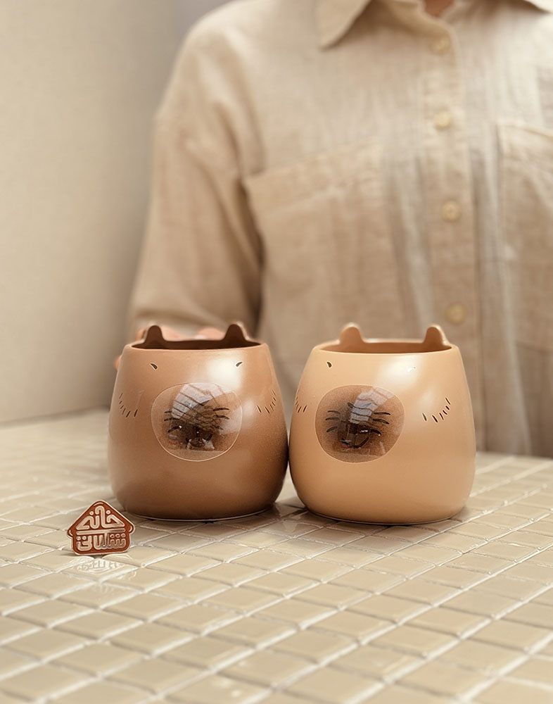 خرید ماگ فانتزی