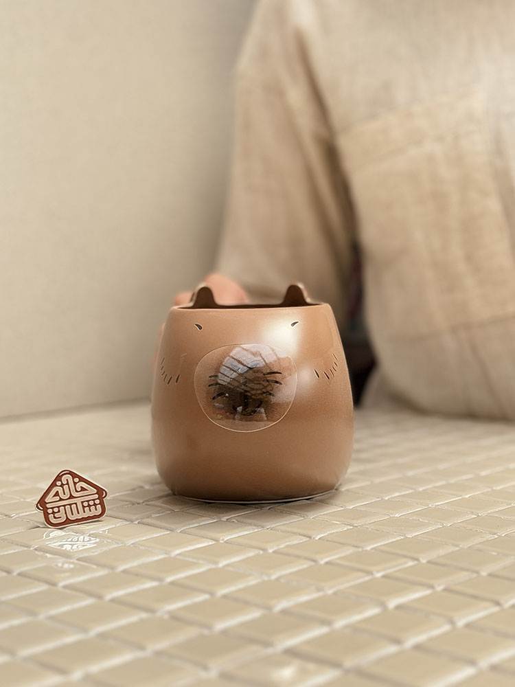 خرید ماگ فانتزی