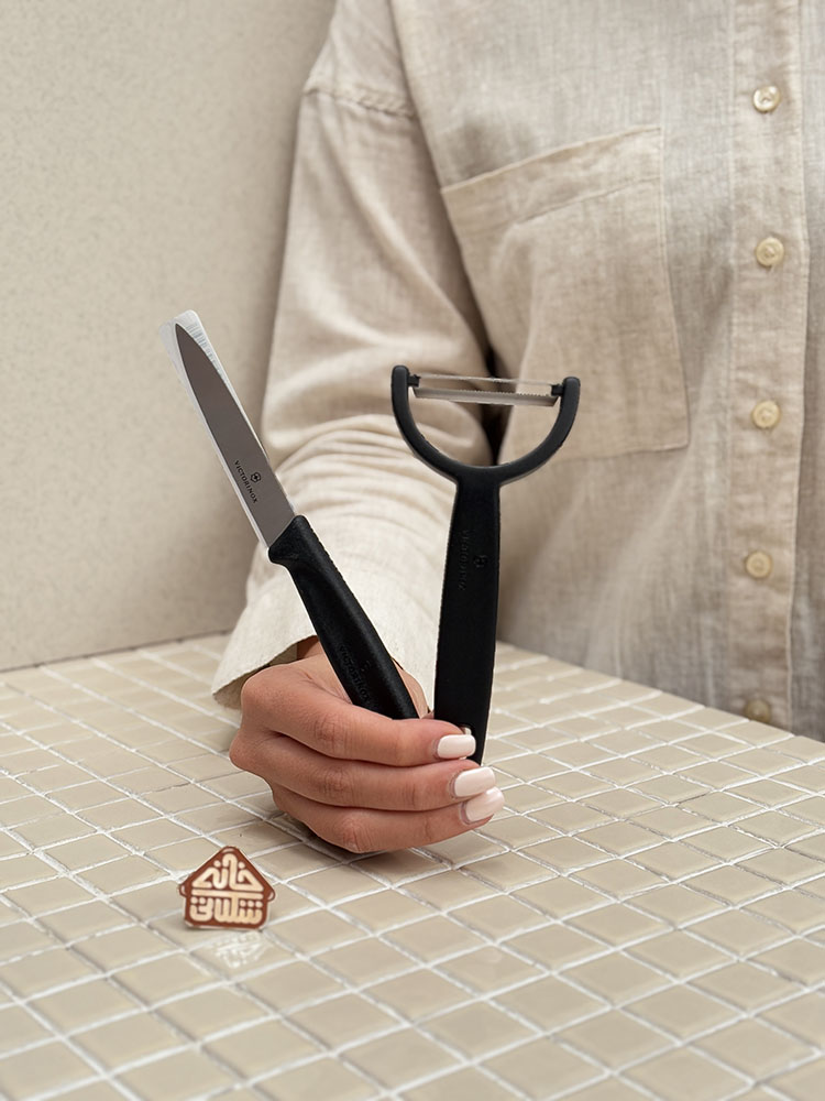 خرید ست پوست کن و چاقو برند ویکتورینوکس VICTORINOX 6.7113.22